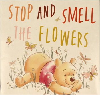 Winnie the Pooh leży wśród kwiatów i motyli, napis: Stop And Smell The Flowers, beżowe tło.