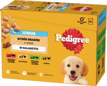 PEDIGREE Junior ,karma pełnoporcjowa mokra dla szczeniąt, wybór smaków z ryżem w galaretce,przód
