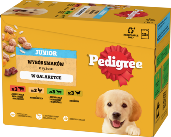 Żółta paczka mokrej karmy PEDIGREE Junior Wybór Smaków w galaretce, z wizerunkiem szczeniaka golden retrievera.