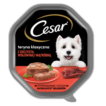 Cesar teryna klasyczna z soczystą wołowiną i wątróbką. Czarna tacka, biały pies, jedzenie na talerzu.