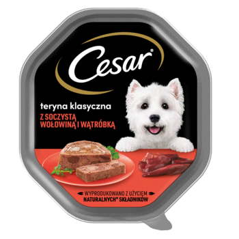 Cesar teryna klasyczna z soczystą wołowiną i wątróbką. Czarna tacka, biały pies, jedzenie na talerzu.