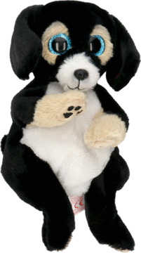 TY Beanie Boos maskotka psa, czarno-beżowa z białym brzuchem i brokatowymi niebieskimi oczami, widok z przodu.