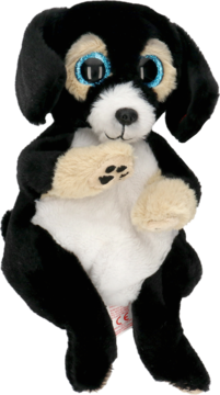 TY Beanie Boos maskotka psa, czarno-beżowa z białym brzuchem i brokatowymi niebieskimi oczami, widok z przodu.