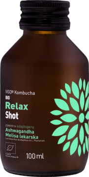 VIGO Kombucha Relax Shot 100ml w brązowej butelce, zielona etykieta z Ashwagandhą i Melisą. Widok z przodu.