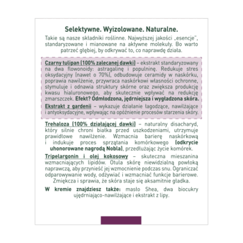 Informacyjna ulotka kremu Uzdrovisco Czarny Tulipan Intense, opis składników i działania, z fioletową stopką.