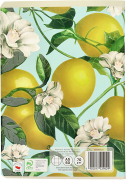 TOP 2000 ,zeszyt A5 60k kratka, Fruits D'ete, mix,tył