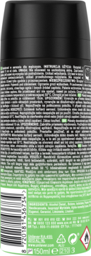 Tył czarnego dezodorantu Axe Jungle Fresh w sprayu z zielonymi napisami, kodem kreskowym i listą składników.