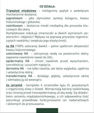 Biały panel z opisem działania składników kremu: peptyd miedziowy, 4x HA i 6x ceramidów.
