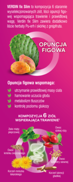VERDIN Fix Slim,herbata ziołowa z opuncją figową,tył