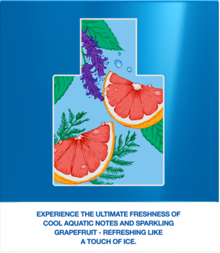 Mexx Ice Touch: graphic of grapefruit halves, lavender, and leaves with water droplets in a light blue frame.