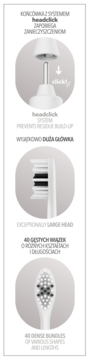 Infografika końcówki Vitammy Pura: system HeadClick, duża główka, 40 wiązek włosia o różnych kształtach.