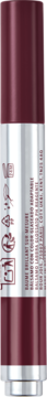 BOURJOIS Butter Tint nr 06 Berry Coulis, masełko do ust w ciemnobordowym sztyfcie, srebrna etykieta, widok przód.