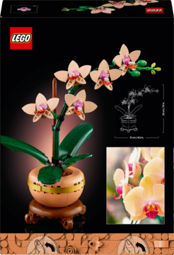 LEGO Orchidea 10311, model rośliny w doniczce z beżowymi kwiatami i zielonymi liśćmi, widok z przodu, na pudełku.