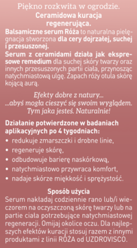 Opis serum regenerującego UZDROVISCO Róża dla cery dojrzałej na różowym tle, z kluczowymi korzyściami i stosowaniem.