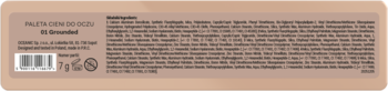 Tył opakowania palety cieni AA Wings of Color True Vision 01 Grounded z kodem kreskowym i instrukcjami użycia.