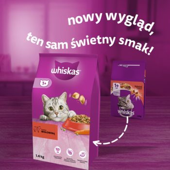 Fioletowa sucha karma Whiskas 1+ dla kotów, nowe opakowanie z kotem i miską, obok stare.
