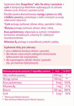 Ulotka informacyjna suplementu Doppelherz Aktiv Na włosy i paznokcie + cynk, skład i właściwości, widok szczegółowy.