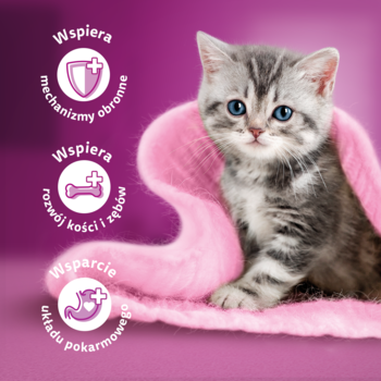 WHISKAS Junior karma dla kociąt: urocze szare kocię na różowym kocu, ikony wsparcia zdrowia na fioletowym tle.