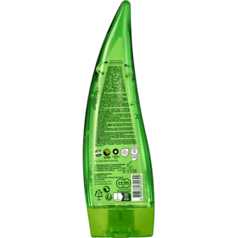 aloe vera plant pot size Aloe Vera | 4