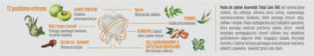 Infografika pasty Ayurvedic Total Care 360 z naturalnymi składnikami: indyjski agrest, miodla, goździk.