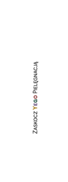 Pionowy napis "ZASKOCZ YEGO PIELĘGNACJĄ" na białym tle, z kolorowymi literami "YEGO".