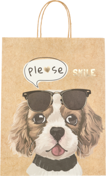 Brązowa torebka prezentowa z zabawnym nadrukiem psa w okularach, napisem 'ple♥se SMILE', widok z przodu.