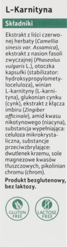 L-Karnityna: etykieta produktu z pełną listą składników, w tym imbiru, cynku, niacyny. Jest bezglutenowa, bez laktozy.
