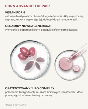 PDRN Advanced Repair: ilustracja wegańskiego PDRN z żeń-szenia (owoce), ceramidów i różowego serum Lipo Complex.