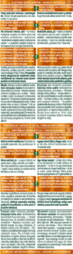 Ulotka Garnier Nutrisse Creme: odżywcza farba do włosów z podwójną ochroną, 100% krycia siwych włosów.