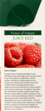 BIG-ACTIVE ,herbatka owocowo-ziołowa o smaku malinowym z acerolą, ekspresowa,prawa