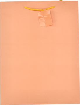 INCOOD ,torba prezentowa 32x42cm, Pastel, mix,prawa