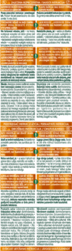 Ulotka Garnier Color Naturals: krem koloryzujący, podwójna ochrona, bogaty, długotrwały kolor.