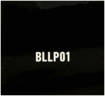 NYX PROFESSIONAL MAKEUP ,baza pod tusz do rzęs nr 01,prawa