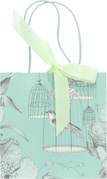 Frontal view of a light blue gift bag with white birdcage and bird illustrations, featuring a light green ribbon handle tied in a bow.