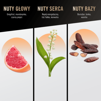 Infographic dla Bruno Banani Absolute Man, pokazująca nuty zapachowe: grejpfrut, konwalia i fasola tonka.