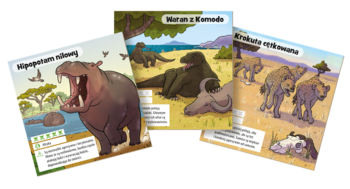 BrainBox Pocket: Niebezpieczne zwierzęta. Gra edukacyjna z trzema rozłożonymi kartami, na nich: hipopotam, waran z Komodo i hieny.