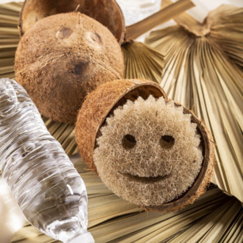 Gąbka do czyszczenia z włókien kokosowych, uśmiechnięta buźka, w łupinie kokosa na tle liści palmowych.