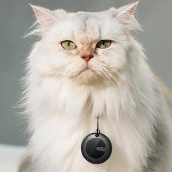 Biały, puszysty kot z zielonymi oczami, noszący czarny okrągły smart tracker dla zwierząt z wyraźnym logo.