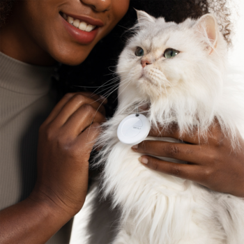 Kobieta trzyma białego kota z długą sierścią, na obroży widoczny biały lokalizator GPS dla zwierząt.