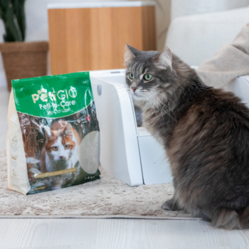 Torba żwirku tofu PetGlo Feline Care obok szarego kota przy białej kuwecie. Biodegradowalny, delikatny dla łap.