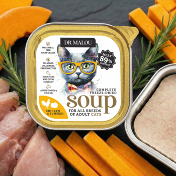Dr Malou liofilizowana zupa dla kotów, Chicken & Pumpkin, złoty pojemnik, obok surowy kurczak i dynia.