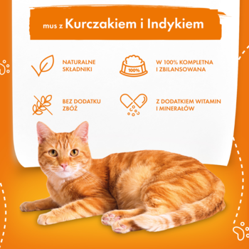 Rudobrązowy kot leży przed panelem z informacjami o karmie. Mus z kurczakiem i indykiem, bez zbóż.