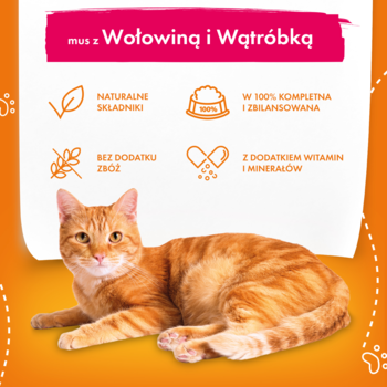 Rudy kot leży przed reklamą karmy Delicios Dinners: mus z Wołowiną i Wątróbką. Bez zbóż, z witaminami.