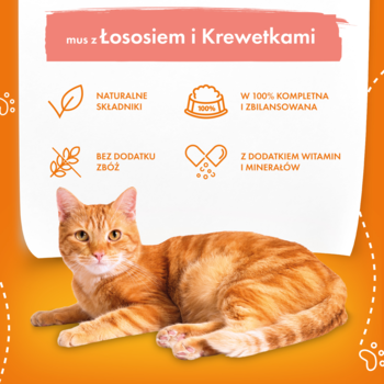 Karma dla kota: mus z łososiem i krewetkami, bez zbóż. Pomarańczowy kot na pierwszym planie, cechy produktu w tle.