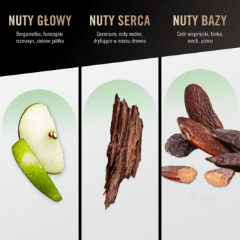 BRUNO BANANI Made for Men ,woda toaletowa dla mężczyzn,rich-content-1