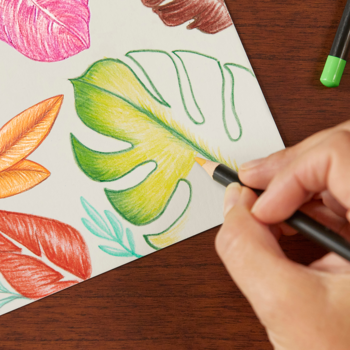 Ręka koloruje tropikalne liście kredkami premium. Żywe, gładkie cieniowanie na białym papierze, miękki grafit.