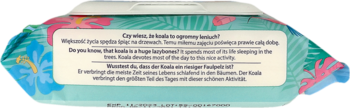 Bobini nawilżany papier toaletowy dla dzieci, pojedyncza chusteczka z tekstem o koalach, na tle różowo-niebieskich kwiatów.