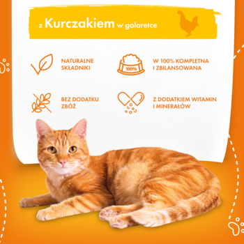 Kot rudy leżący przed infografiką karmy dla kota z kurczakiem w galaretce, opisującą naturalne składniki.