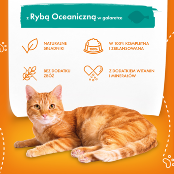 https://pro-fra-s3-productsassets.rossmann.pl/product_5_medium/409964_360_350_1727386911.webp