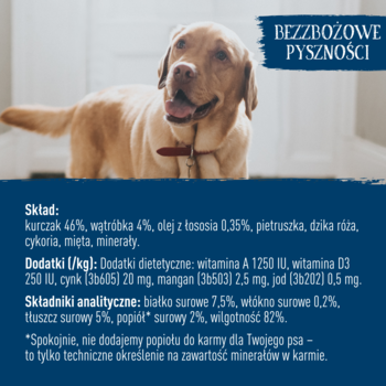 Złoty labrador, widoczne "Bezzbożowe Pyszności" i skład karmy Butcher's Original z kurczakiem.